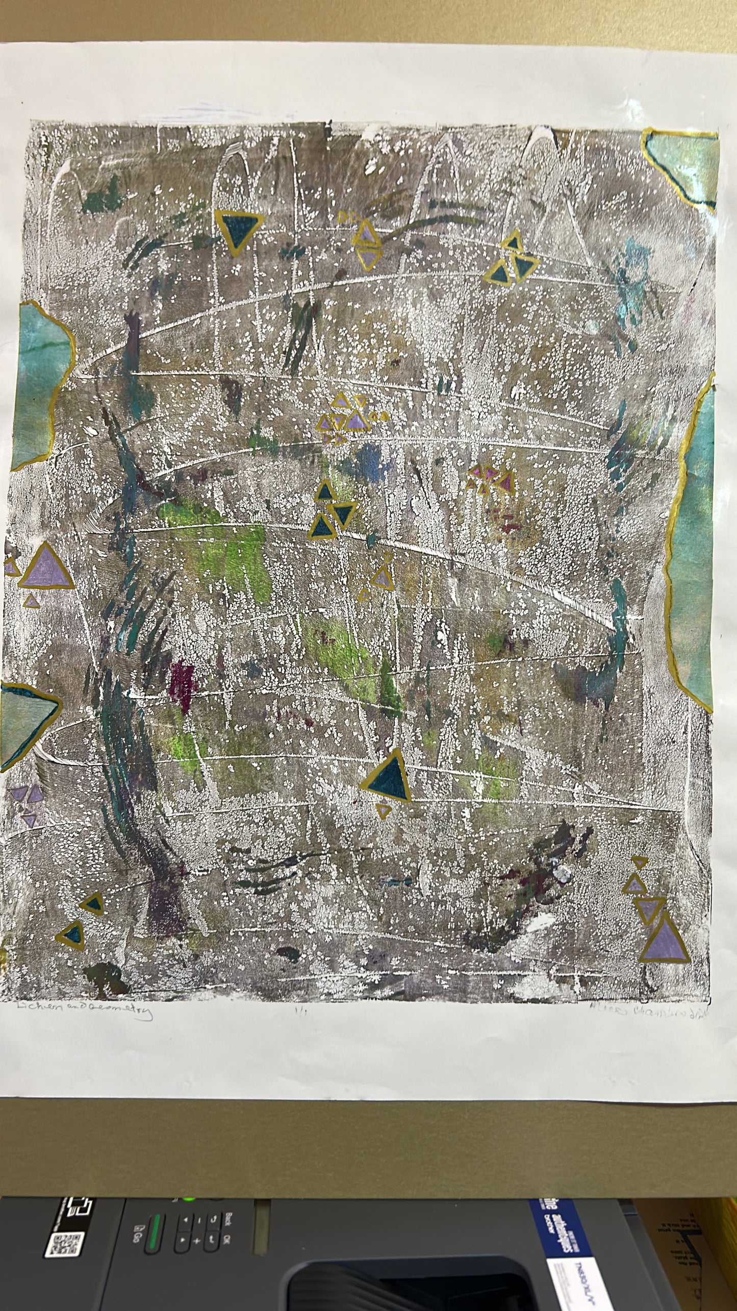 Lichen and Geometry