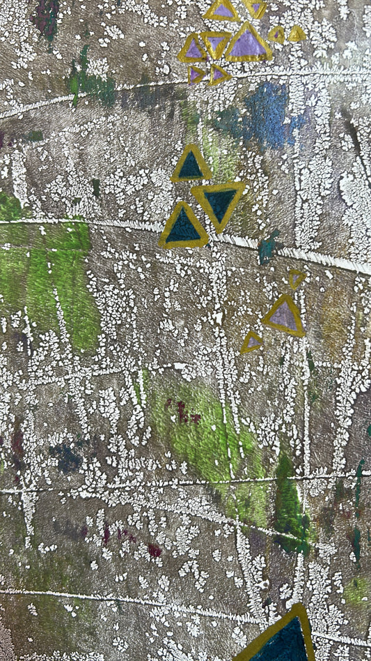 Lichen and Geometry